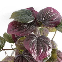 Leaf 35Cm Artificial Trailing Purple Potted Pothos Plant - thumbnail 5