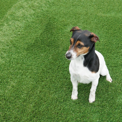 "Shamrock 40mm Outdoor Artificial Grass,premium Outdoor Artificial Grass,petfriendly Artificial Grass-4M(13'1"") X 4M(13'1"")-16M²" - image 1