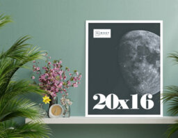 20X16 White Picture Frame (40.6 X 50.8Cm) Poster, Photo, Artwork, Gallery Wall Or Print - thumbnail 2