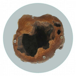 Berkfield Durable Coffee Table Teak Glass 50X40 Cm - thumbnail 7