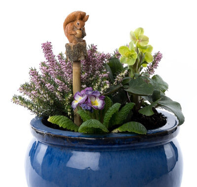 Jardinopia Beatrix Potter Squirrel Nutkin Cane Or Stake Topper (Ccbp0006C) - L3.5 X W3.5 X H8.5 Cm - image 1
