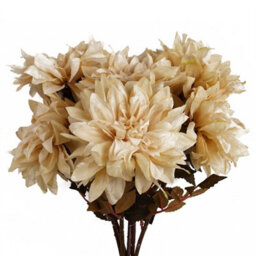 Leaf Pack Of 6 X 55Cm Dahlia Flower Stem - Dusty Cream - thumbnail 1