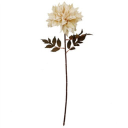 Leaf Pack Of 6 X 55Cm Dahlia Flower Stem - Dusty Cream - thumbnail 4