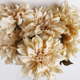 Leaf Pack Of 6 X 55Cm Dahlia Flower Stem - Dusty Cream - thumbnail 5