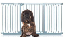 Bettacare Elite Pressure Dog Gate, 161Cm - 170Cm, Matt Grey, Pressure Fit Pet Gate For Dog And Puppy