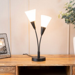 Valuelights Kristina Black 2 Arm Table Lamp With White Frosted Glass Shades - Led Bulbs Included - thumbnail 5