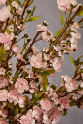 Orsina Cherry Blossom Spray - 94Cm Pink, Delicate Faux Blossoms On A Graceful Branch Stem, Lifelike Artificial - thumbnail 5
