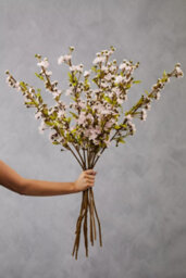 Orsina Cherry Blossom Spray - 94Cm Pink, Delicate Faux Blossoms On A Graceful Branch Stem, Lifelike Artificial - thumbnail 4