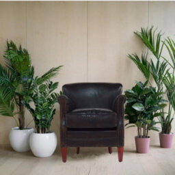 Professor Armchair Vintage Distressed T Brown Real Leather - thumbnail 3
