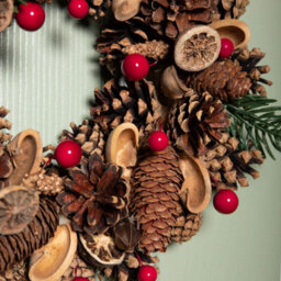 Samuel Alexander 30Cm Winter Spice Hanging Christmas Wreath With Pine Cones Red Berries & Dried Fruit - thumbnail 6