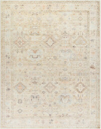 Livabliss Becki Owens Marlene-Vintage Brown Ivory Traditional Vintage Boho Living Dining Bedroom Rug 117 X 170 Cm Easy Care, Non Shedding
