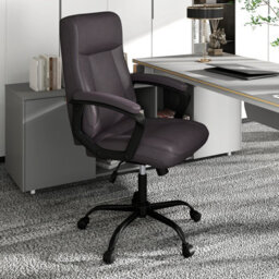 Gainoom Upholstered Brown Executive Chair Ergonomic Computer Desk Chair - thumbnail 3