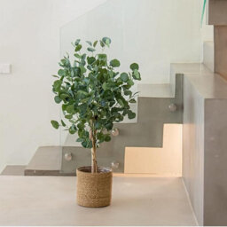 Artificial Plant Eucalyptus, Maia Shop For Home And Office Decoration, 105Cm - thumbnail 2