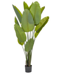 Beliani 187 Cm Artificial Banana Tree Green - Indoor Decor, Matt Finish, Ready To Place - thumbnail 1