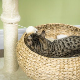 Pawhut 72Cm Cat Tree Kitten Tower With 2 Beds Scratching Post Toy Ball Beige - thumbnail 8