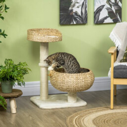 Pawhut 72Cm Cat Tree Kitten Tower With 2 Beds Scratching Post Toy Ball Beige - thumbnail 1