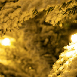 Christmas Tree World The 9Ft/270Cm Pre-Lit Snowy Alpine Tree With Warm White Lights - thumbnail 5