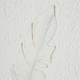 Hill Interiors Solli White Feathers Art Mounted In Beaded Frame - Wood - L2 X W50 X H50 Cm - Brown - thumbnail 3