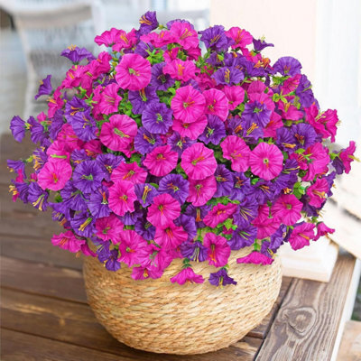 10 Pack Uv - Resistant Outdoor Artificial Flowers - Hanging Artificial Plants (Fuchsia Purple) - image 1