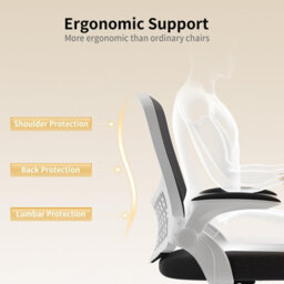 Onemill Ergonomic Office Desk Chair With Flip-Up Armrests And Lumbar Support-White - thumbnail 2