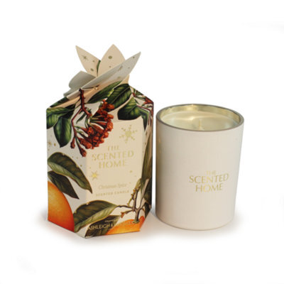 Ashleigh & Burwood Scented Home Candle 170G - Christmas Spice - image 1