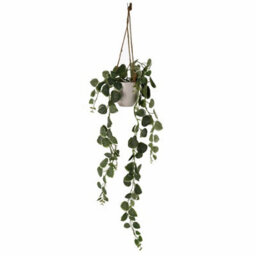 Leaf 90Cm Artificial Potted Trailing Hanging Natural Look Plant Realistic - String Of Hearts