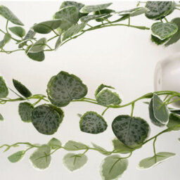 Leaf 90Cm Artificial Potted Trailing Hanging Natural Look Plant Realistic - String Of Hearts - thumbnail 4