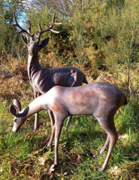 Stag And Doe Deer Pair Extra Large Sculptures - Cast Aluminium With Bronze Finish - thumbnail 2