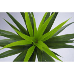Leaf 90Cm (3Ft) Large Artificial Yukka Plant Spiky Tree Plant Realistic - thumbnail 2