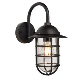 Anson Lighting Pallion Black With Caged Clear Glass Shade Modern 1 Light Outdoor Wall Light - thumbnail 1