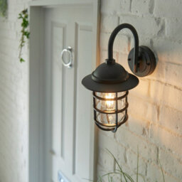 Anson Lighting Pallion Black With Caged Clear Glass Shade Modern 1 Light Outdoor Wall Light - thumbnail 6
