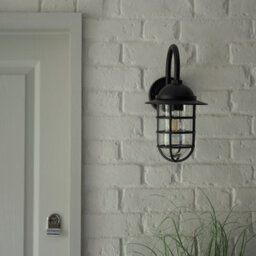 Anson Lighting Pallion Black With Caged Clear Glass Shade Modern 1 Light Outdoor Wall Light - thumbnail 4
