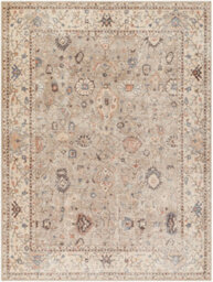 Livabliss Becki Owens Davina-Vintage Grey Brown Traditional Boho Living Dining Bedroom Rug 120 X 170 Cm Easy Care, Non Shedding - thumbnail 1