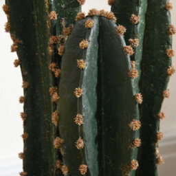 Large Realistic Artificial Cactus, Large Artificial Plant, Dimensions: Dia 17 X 60H Cm, Green - thumbnail 9