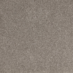 Furlong Flooring Satisfaction Moods Luxury Carpet (Peat, 4M X 4M) - thumbnail 1