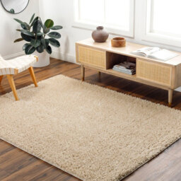Livabliss Moda Shaggy-Solid Color Beige Plush Soft Pile Living Bedroom Rug 160 X 213 Cm Easy Care, Non Shedding - thumbnail 2