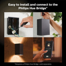 Philips Hue White And Colour Ambiance Resonate Outdoor Wall Light Black 2 Pack - thumbnail 4