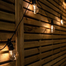 Samuel Alexander Set Of 10 Indoor Outdoor Connectable Festoon Lights With Warm White Leds - thumbnail 2