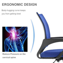 Adjustable Swivel Office Chair W/padded Seat Cushion And Lumbar Support - Mesh Blue - thumbnail 3