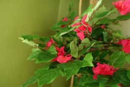 Leaf Artificial 150Cm Pink Japanese Silk Bougainvillea Tree - thumbnail 4
