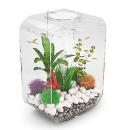 Oase Biorb Life 15L Aquarium Fish Tank In Clear With Multi Colour Led Lighting - thumbnail 2