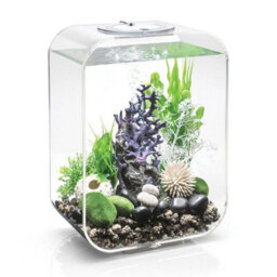 Oase Biorb Life 15L Aquarium Fish Tank In Clear With Multi Colour Led Lighting - thumbnail 3