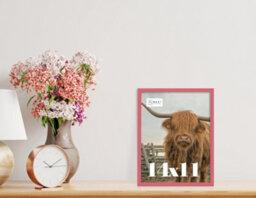 14X11 Pink Picture Frame (35.6 X 27.9Cm) Poster, Photo, Artwork, Gallery Wall Or Print - thumbnail 2