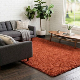 Uetian Terracotta Shaggy Rug Cozy Fluffy Floor Carpet Warm Tone Interior Style (80X150 Cm) - thumbnail 5