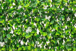 Primrose Extendable Artificial Flower Outdoor Screening Trellis (White) 1M X 2M - thumbnail 5