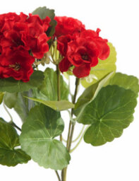 Best Artificial 30Cm Yellow Geranium Plug Plant - Pot Not Included - thumbnail 6