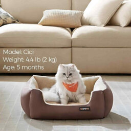 Dog Bed With Reversible Cushion, Raised Sides And Non-Slip Base, Washable Pet Sofa Bed, Coffee Brown And Sand Beige