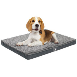 Pet Bed With Charcoal Infused Memory Foam - Dog Or Cat Orthopaedic Mattress With Zipped Cover & Anti-Slip Bottom - Medium - thumbnail 2