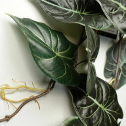 Leaf 120Cm Artificial Trailing Hanging Plant Realistic Alocasia Dragon Scale Dark - thumbnail 4
