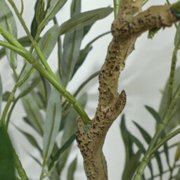 Homcom Indoor Artificial Plant, Faux Potted Silk Olive Tree, 150Cm - thumbnail 9